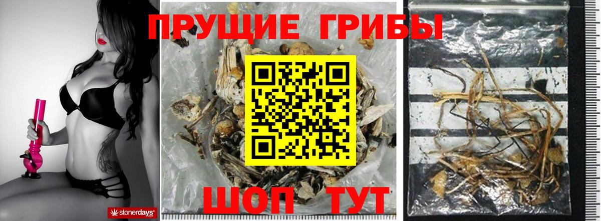 Псилоцибиновые грибы мухоморы  Вход с VPN  Можга 