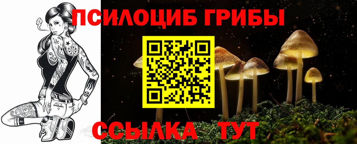 Псилоцибиновые грибы прущие грибы Можга