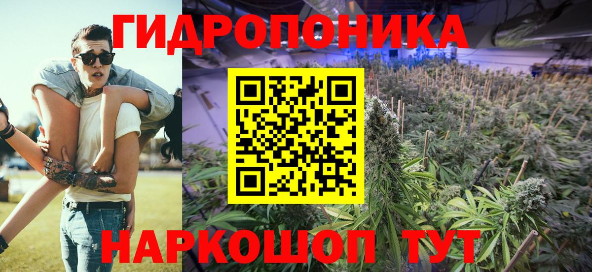 Канабис LSD WEED Можга